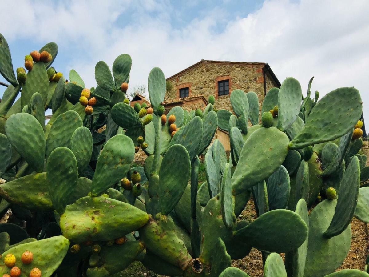 Casetta Tre Poderi Appartamento Cactus Monte Cucco Exterior photo